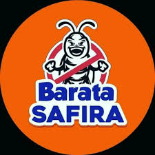 Logo Barata Safira